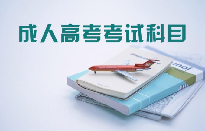 202年上海市成人高考考试科目